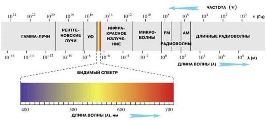 Большую частоту излучения имеет. Электромагнитный спектр излучения от радиоволн до гамма диапазона. Спектр частот электромагнитного излучения. Спектр электромагнитного излучения спектр видимого света. Диапазон волн и частот гамма излучения.